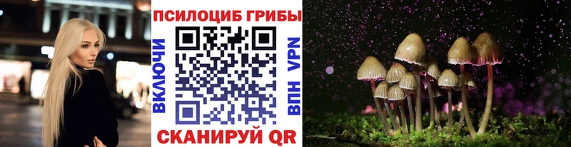 Галлюциногенные грибы прущие грибы Динская